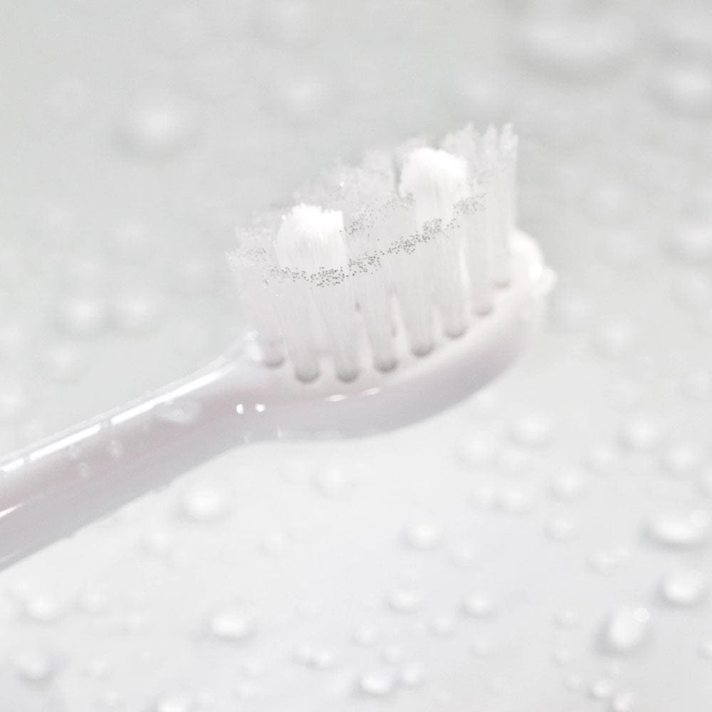 Spotlight Oral Care Sonic Toothbrush Replacement Heads image 2