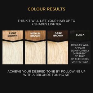 B Blonde Blonding Kit No.2